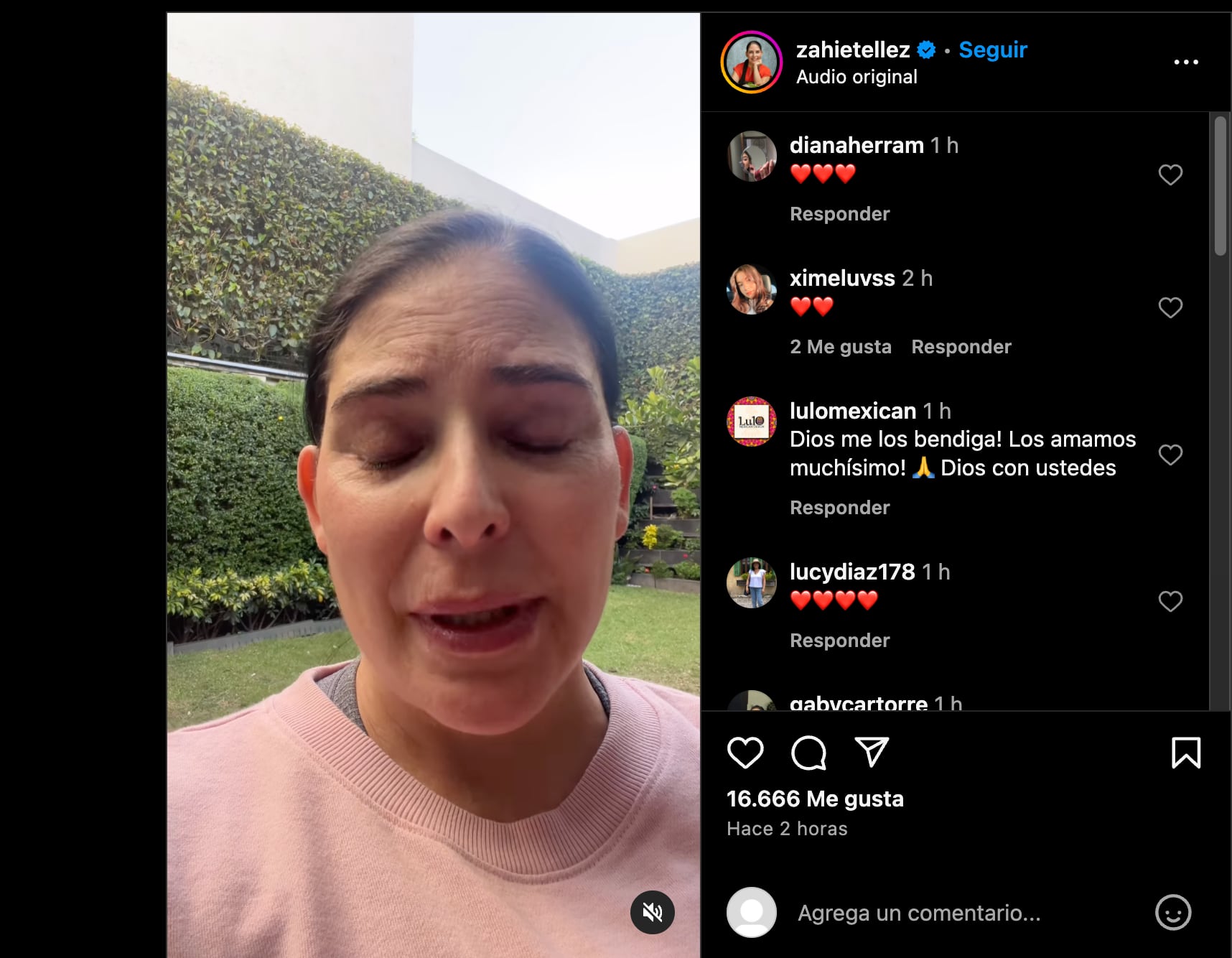 Zahie Téllez compartió un video en sus redes sociales tras el secuestro. (Foto: Instagram @zahietellez)