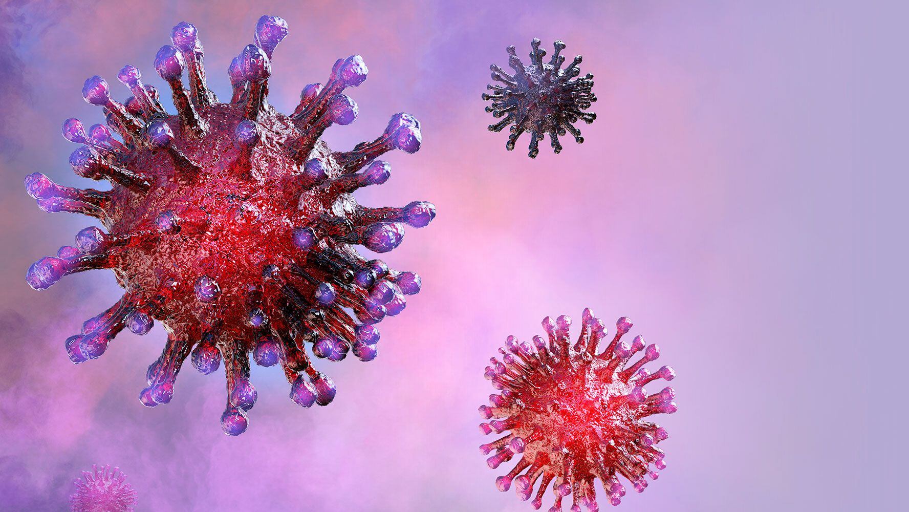 El COVID-19 no es el único: estos son los otros 4 coronavirus que nos ‘atacan’ en invierno
