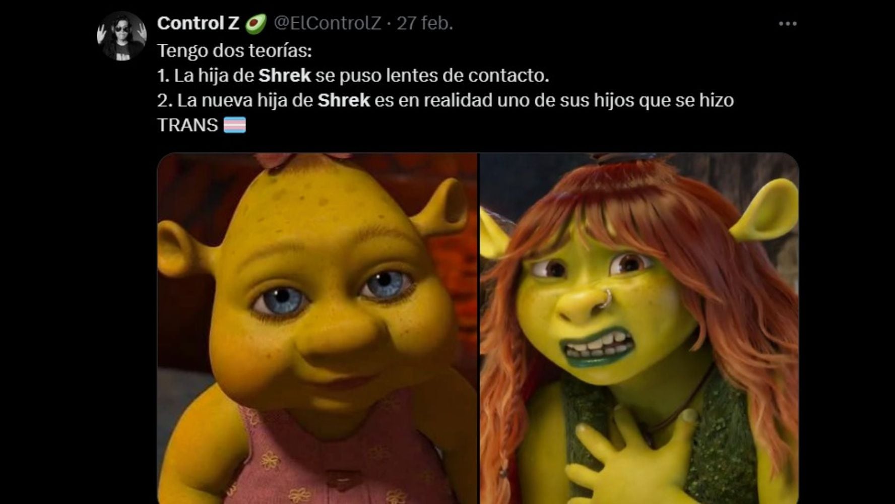 Memes sobre el trailer de la película 'Shrek 5'. (Foto: Redes sociales)