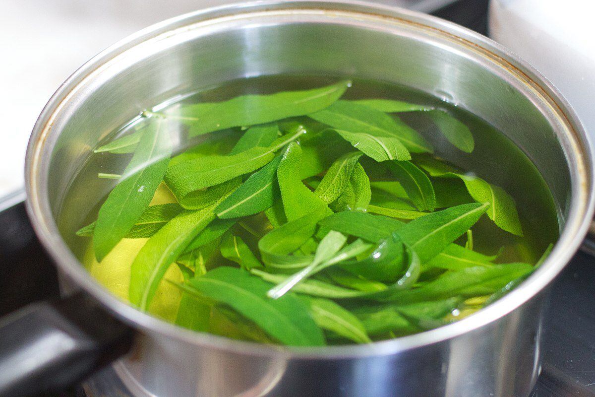El té de salvia se elabora hirviendo hojas de la planta en agua. (Foto: Wikimedia Commons)