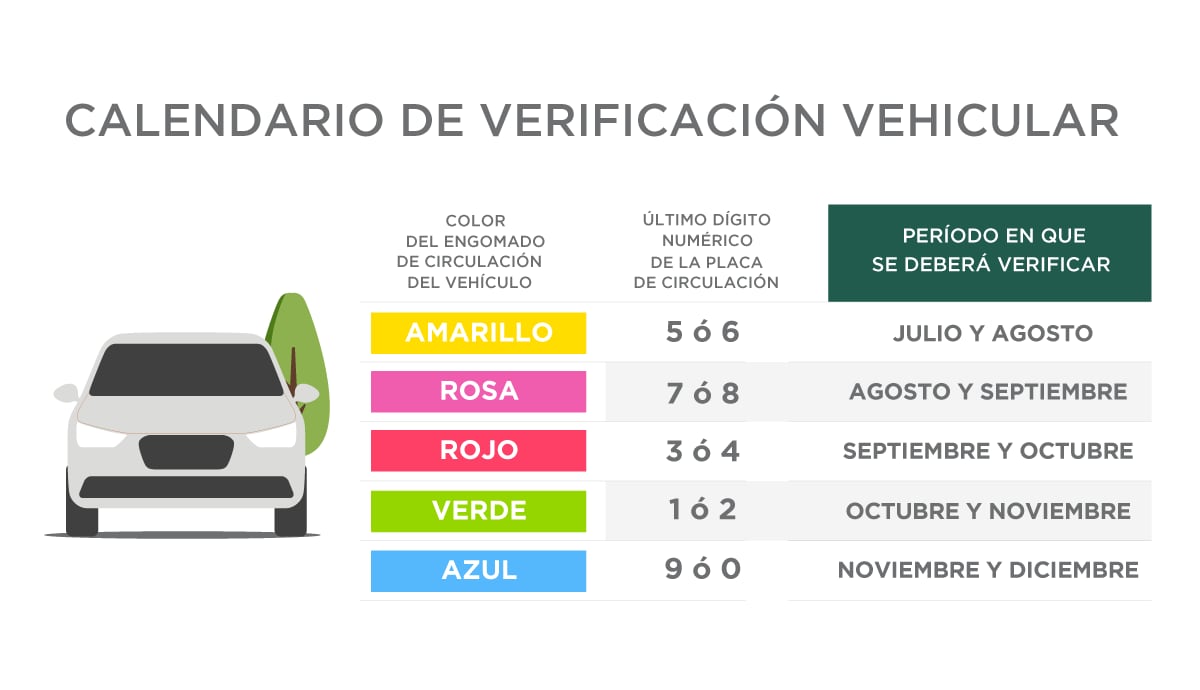 Conoce que autos deben acudir a su verificación en diciembre.