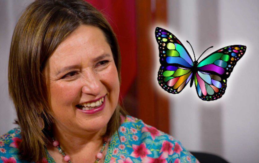[VIDEO] Una mariposa: Esta fue la señal ‘divina’ que recibió Xóchitl Gálvez para buscar la Presidencia 