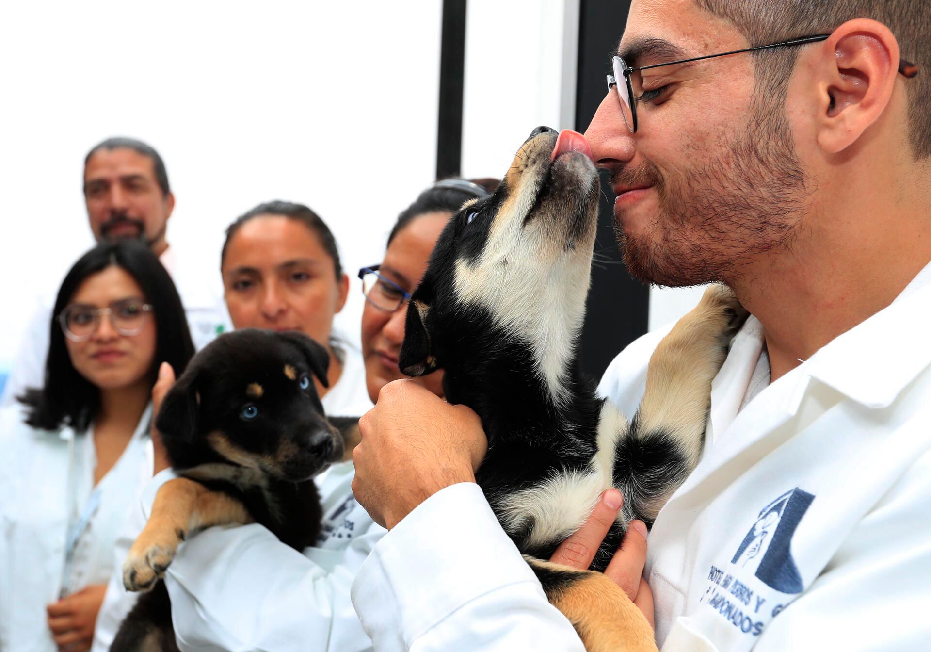 ¡Adopta, no compres! Inauguran en Tepito primer hotel para perros y gatos abandonados