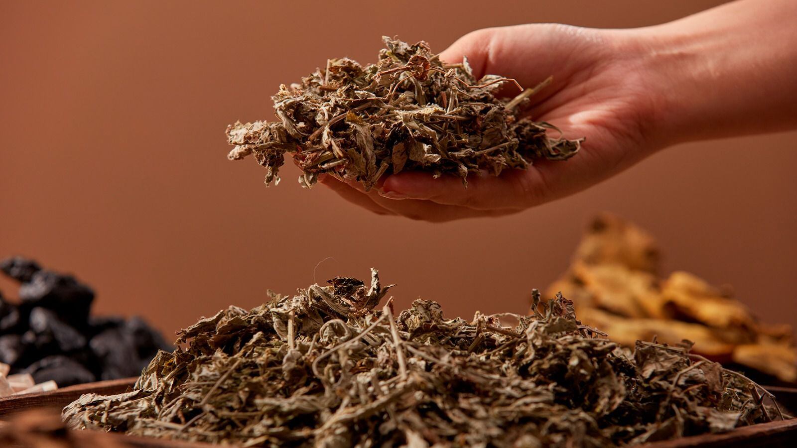 El uso más común del Ajenjo es en forma de té.  (Foto: Shutterstock)