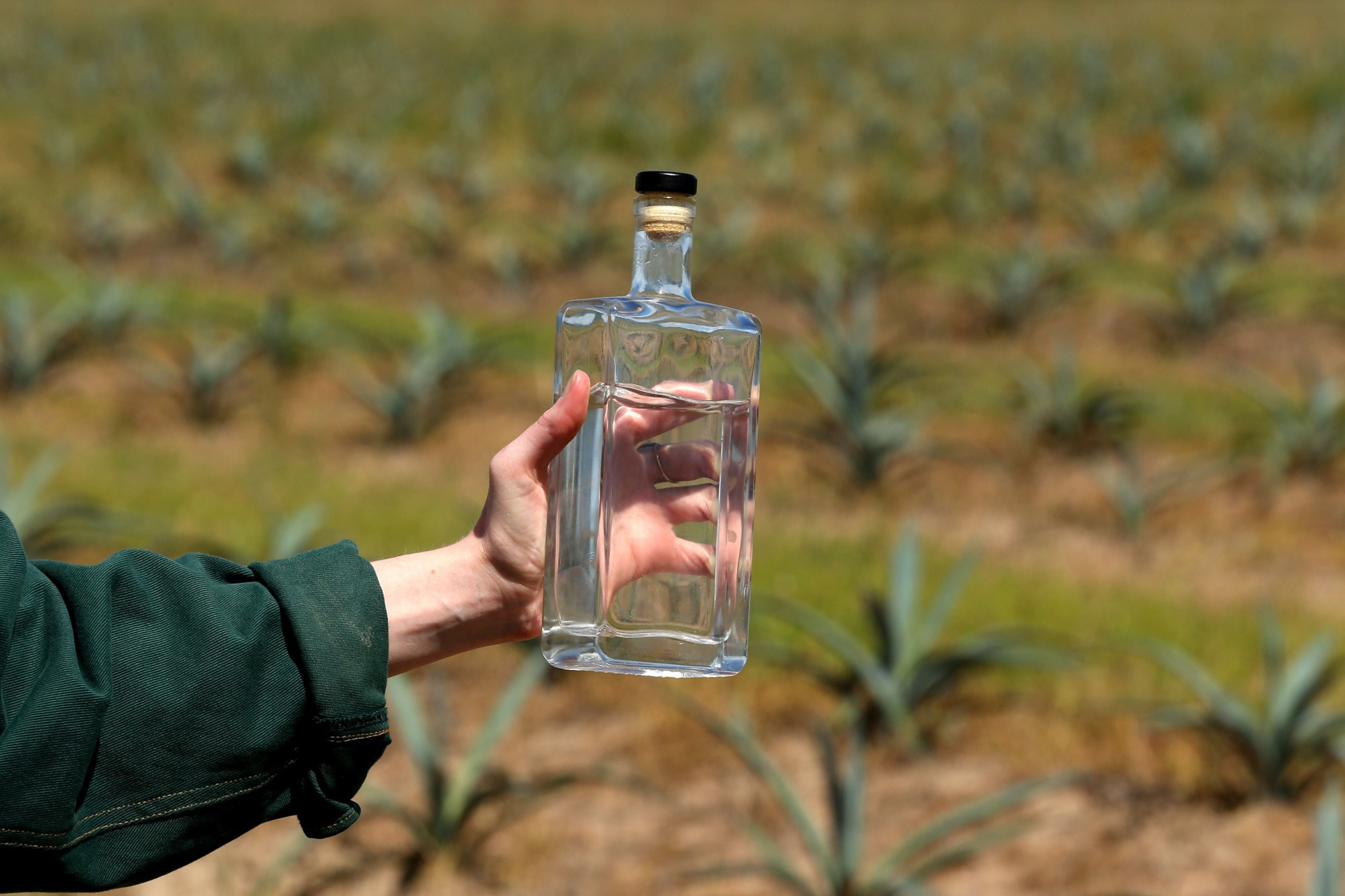 El tequila es una de las bebidas más tradicionales en México. (Foto: Especial).