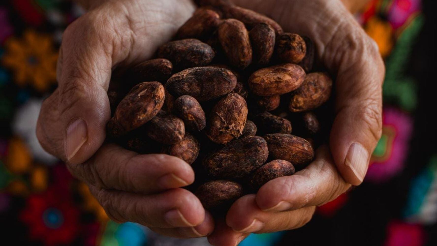 6 Datos del cacao que te harán amar más a este ingrediente mexicano 