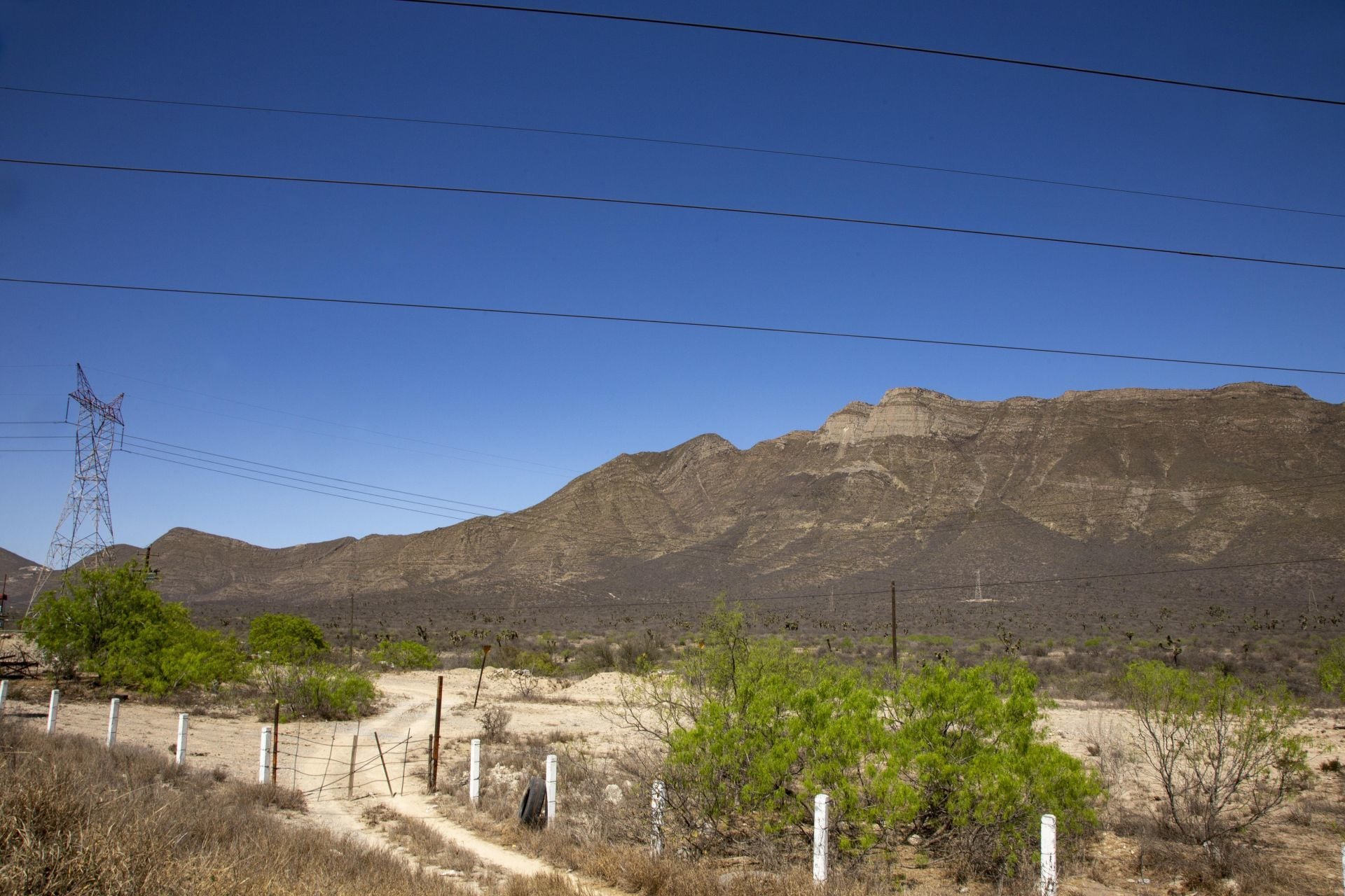 La planta de Tesla se iba a instalar en la zona metropolitana de Monterrey.