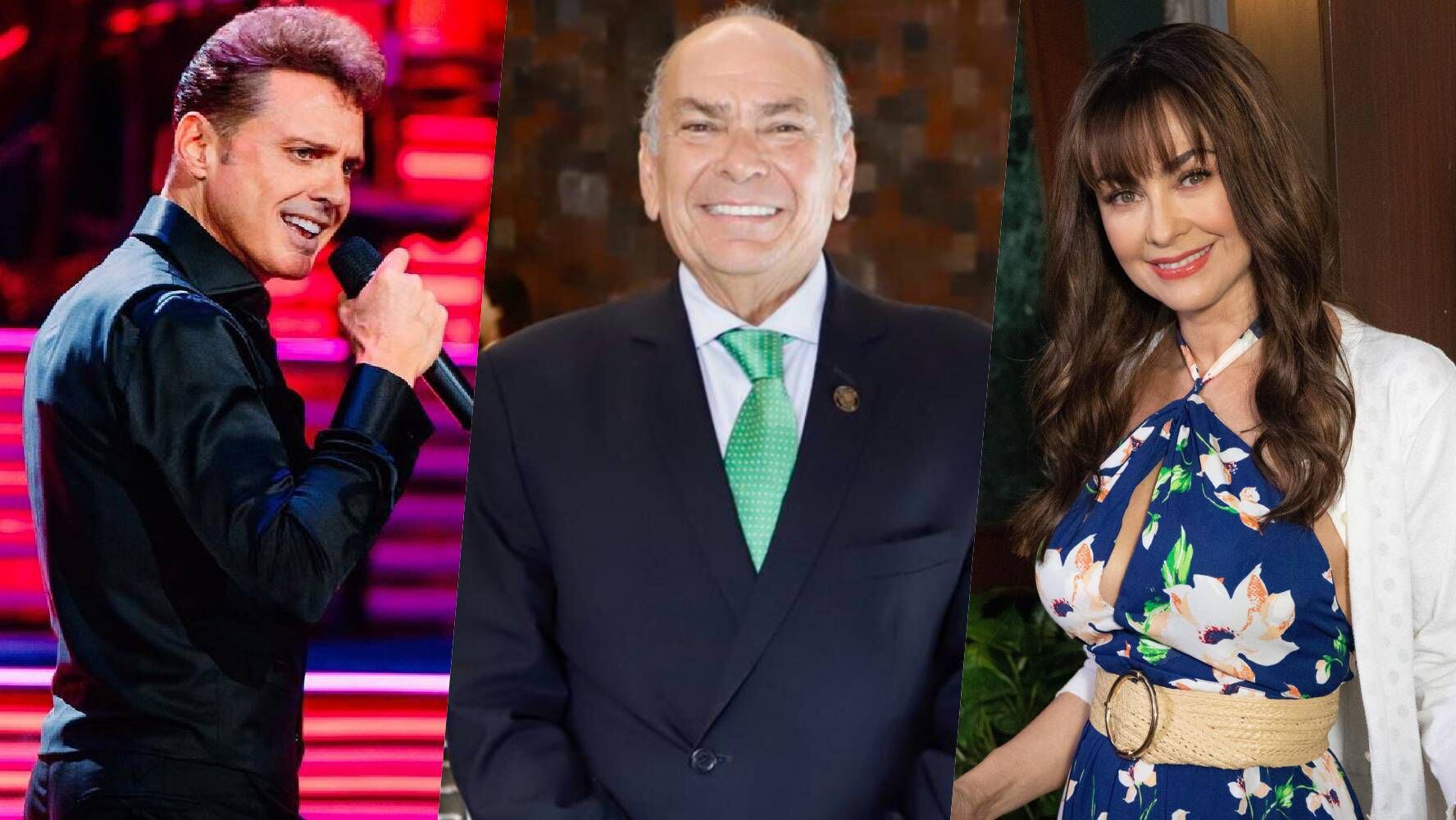 Antonio Pérez Garibay habló sobre la situación con los hijos de Luis Miguel y Aracely Arámbula. (Foto: Instagram / @luismiguel / @aprezgaribay / Cuartoscuro)