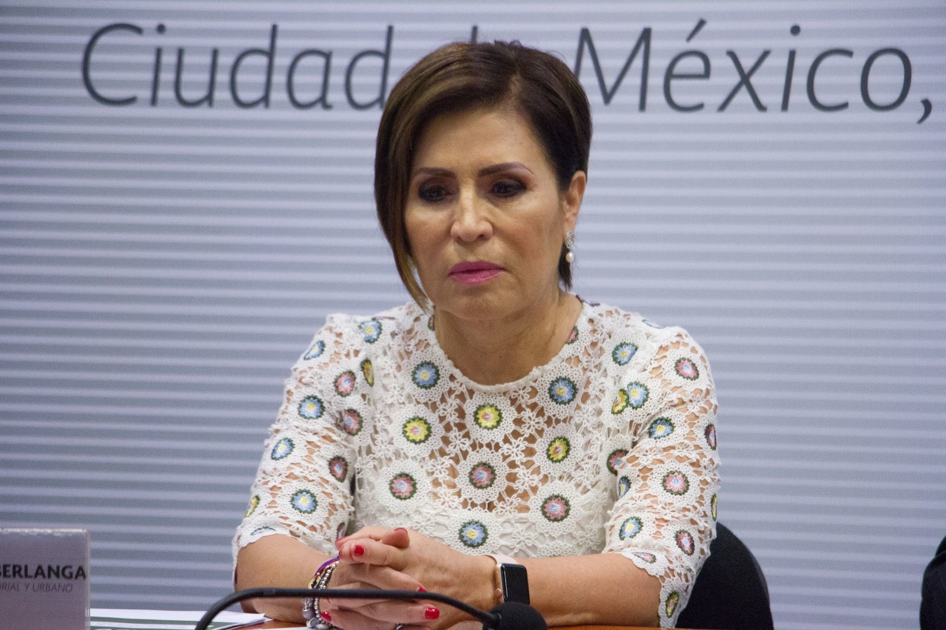 Caso Rosario Robles: Familia pide audiencia a la ONU para exponer ‘graves vulneraciones’ a derechos humanos