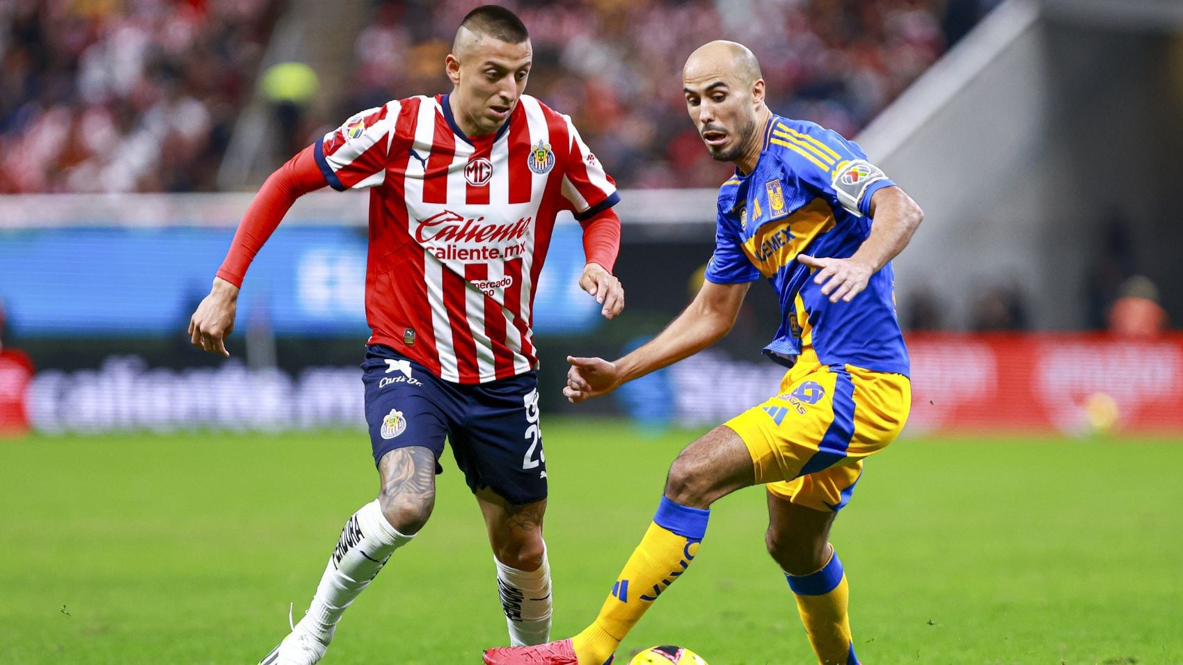 Chivas y Tigres son dos de los equipos que juegan este 28 de enero en la Liga MX.