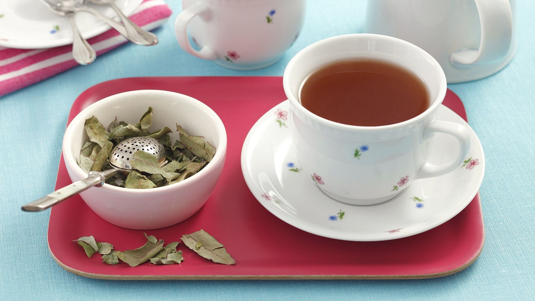 El té de eucalipto puede aportar diversos beneficios a la salud. (Foto: Shutterstock)