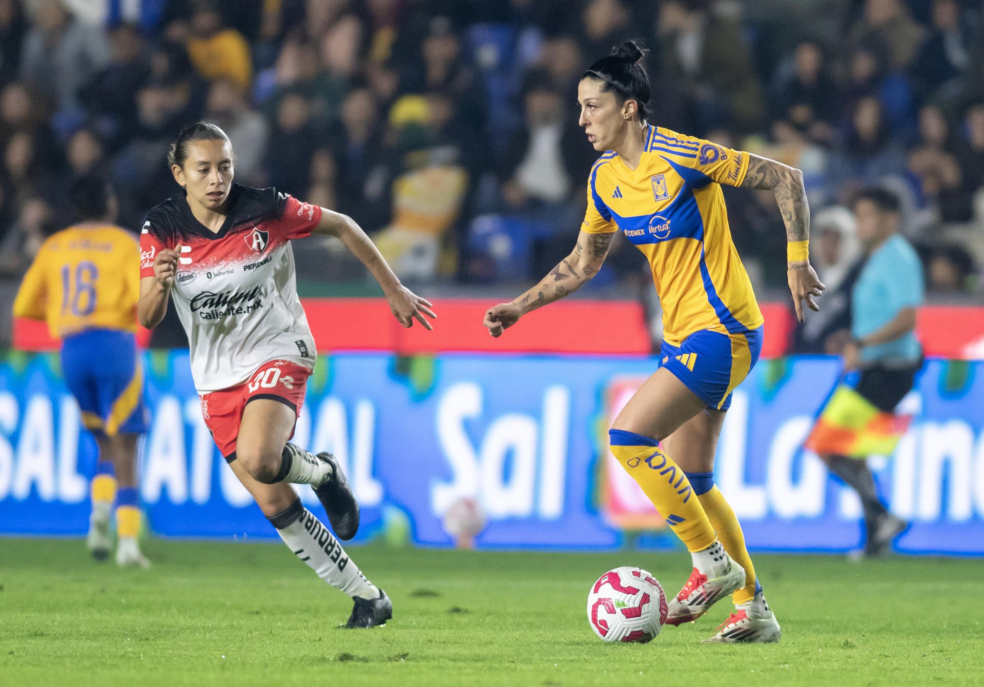 Atlético de San Luis derrotó 1-0 a Rayadas de Monterrey. 