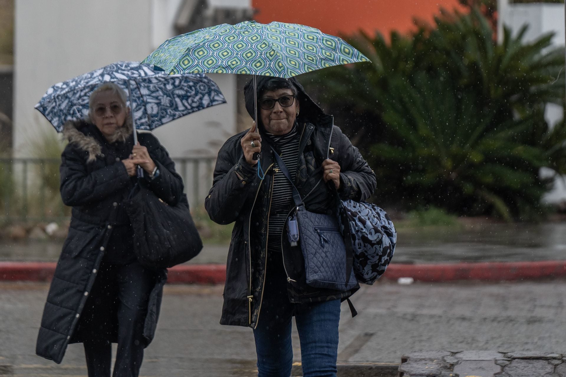 Febrero de fuertes lluvias y más frío: ¿Qué estados tendrán mal clima en México este lunes?