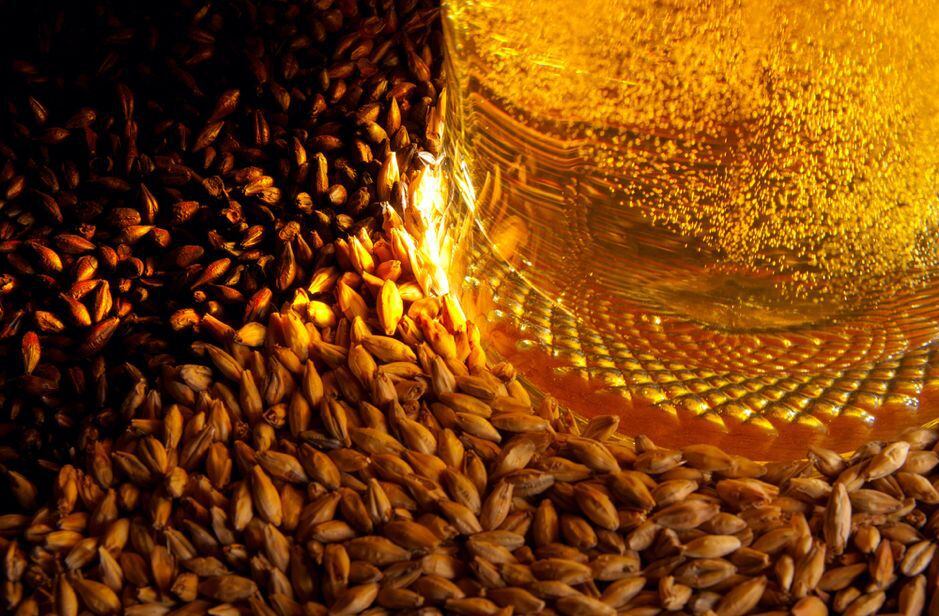 ‘Nearshoring’ cervecero: una operación silenciosa que inició con nuevos cultivos de cebada