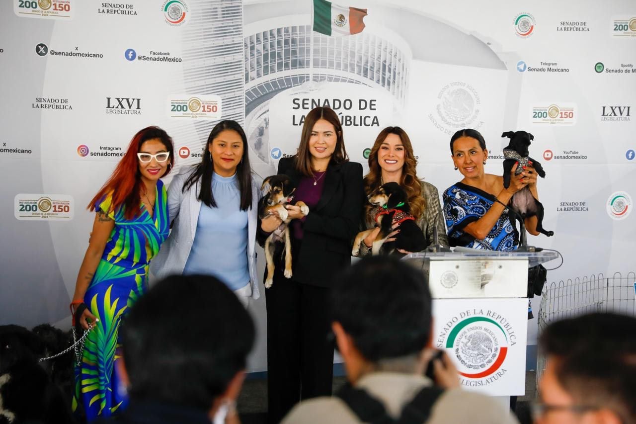 La senadora de Morena, Anahí González, fue la encarga de presentar la iniciativa para la protección de animales.  [Fotografía. Senado de México]