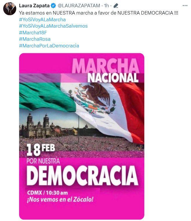Laura Zapata acudió a la Marcha por Nuestra Democracia 2024.