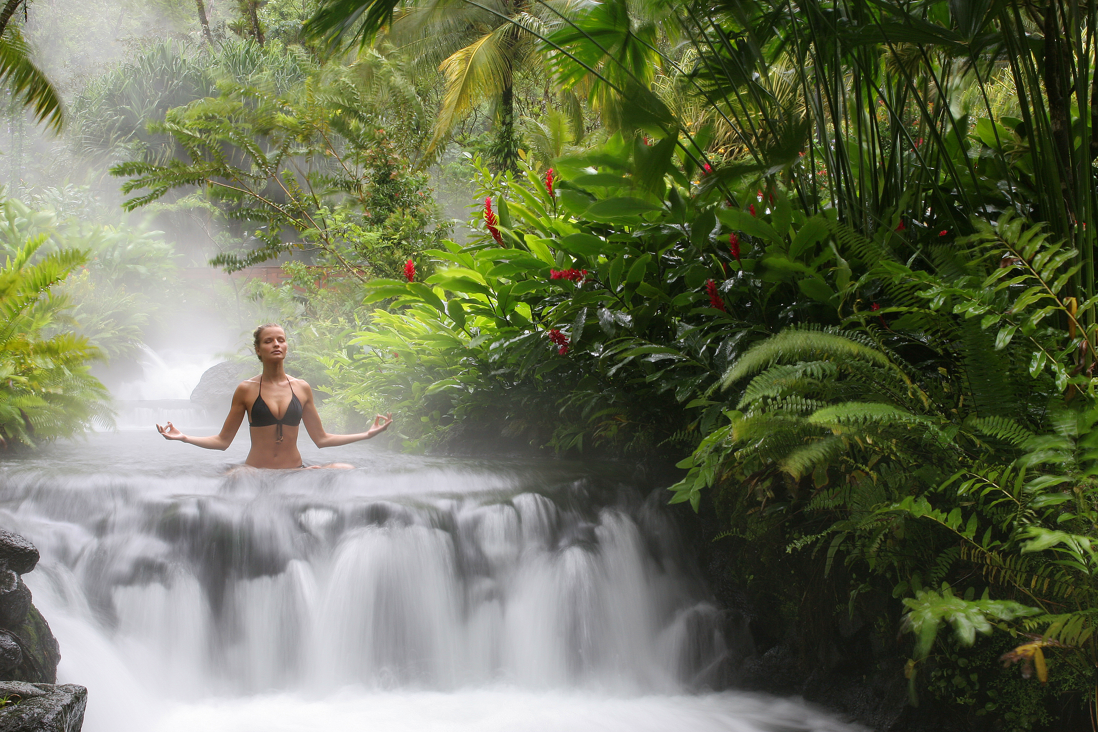 Bienestar Tropical: experiencias wellness que renuevan el espíritu