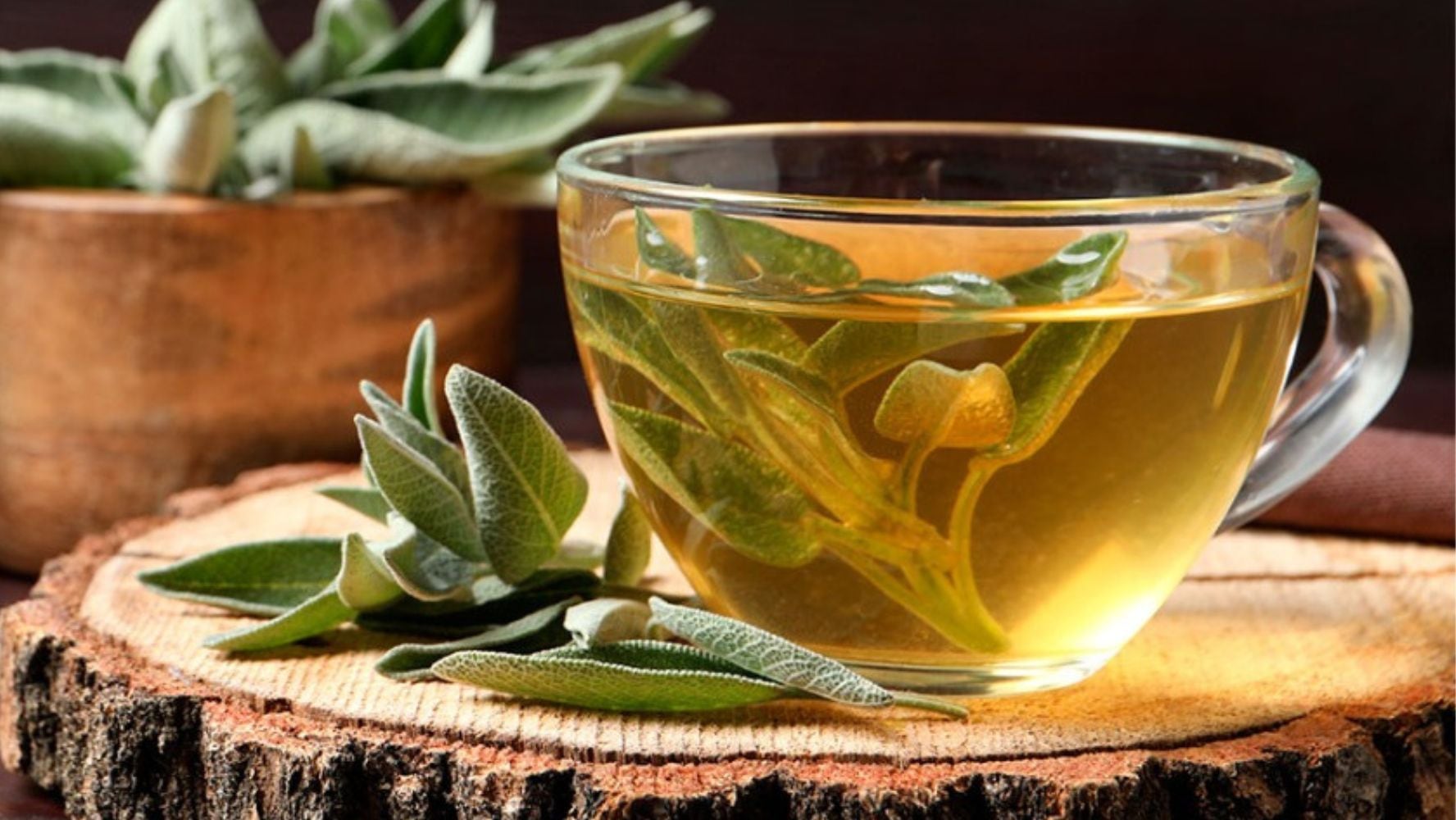 En grandes cantidades, el té de salvia perjudica a la salud. (Foto: Shutterstock)