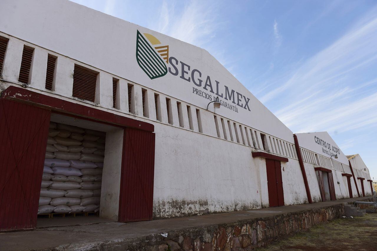 Fraude en Segalmex: 30 empresas y 29 funcionarios están involucrados, admite su titular