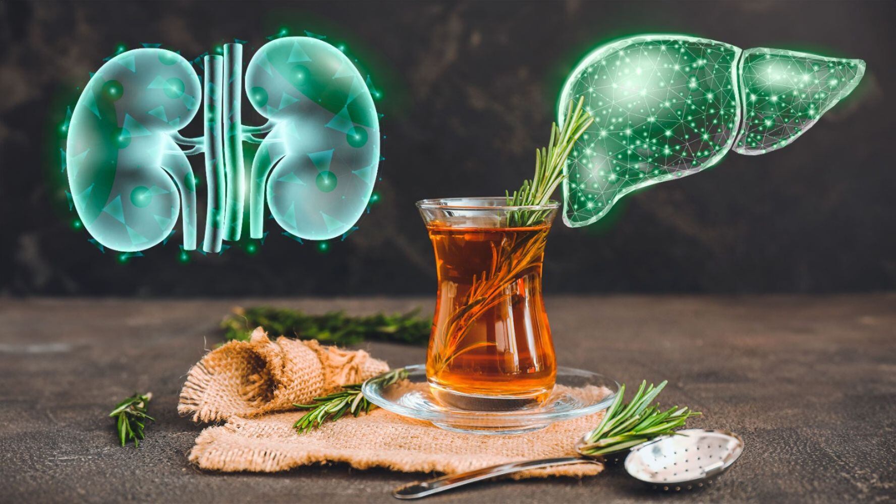 El té de romero podría tener efectos benéficos para evitar malestares estomacales. (Fotoarte: El Financiero | Foto: Shutterstock).