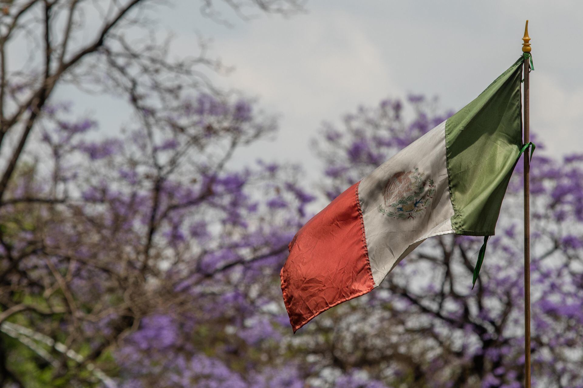 Incertidumbre ‘da llegue’ a economía de México: FMI baja pronóstico de crecimiento a 2.4%