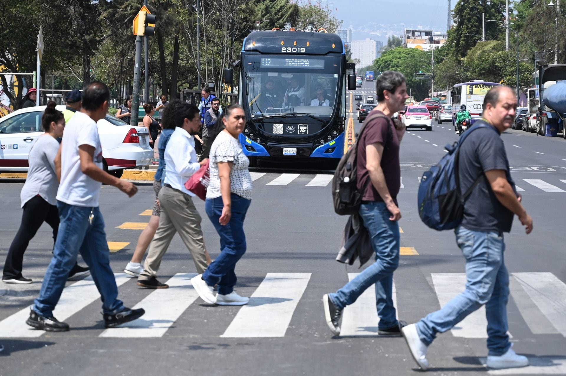 Inicia 2025 con trabajo: Trolebús CDMX abre vacantes para conductores, ¿qué sueldo ofrecen?