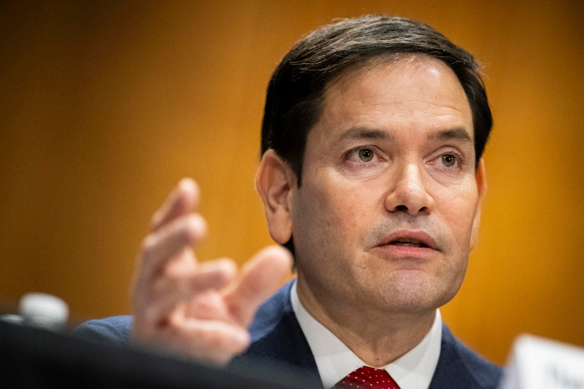 Marco Rubio será secretario de Estado.