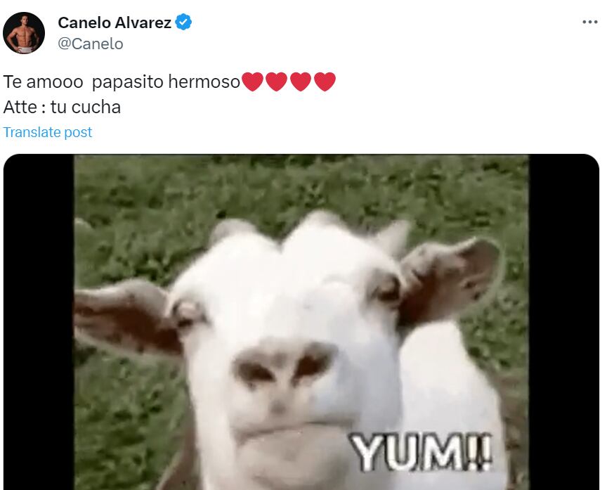 Mensaje de 'Canelo' Álvarez en redes sociales. (Foto: X / @Canelo)