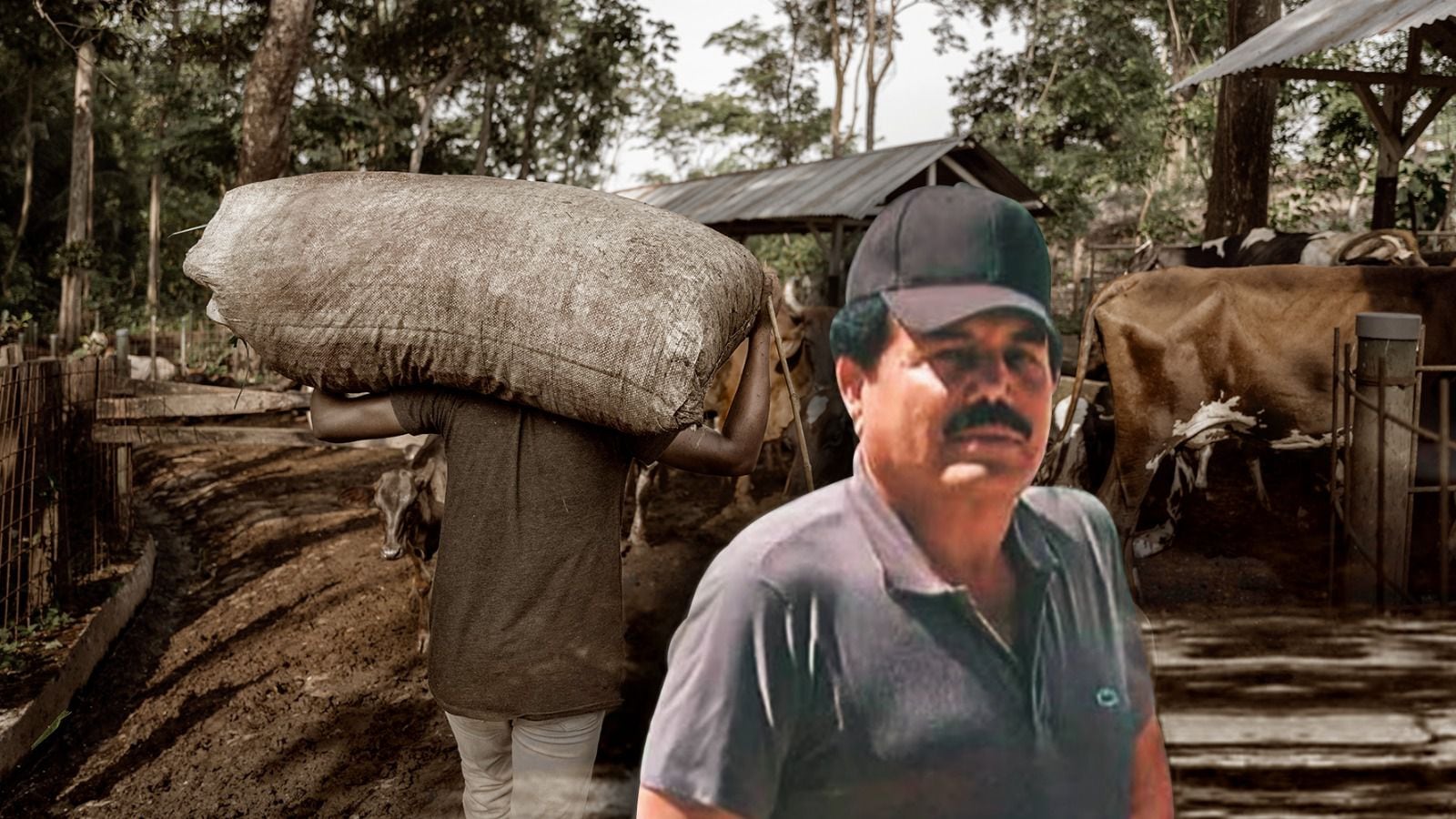 Detienen al ‘Mayo’ Zambada: ¿Cómo un campesino se volvió líder del Cártel de Sinaloa? Esta es la historia