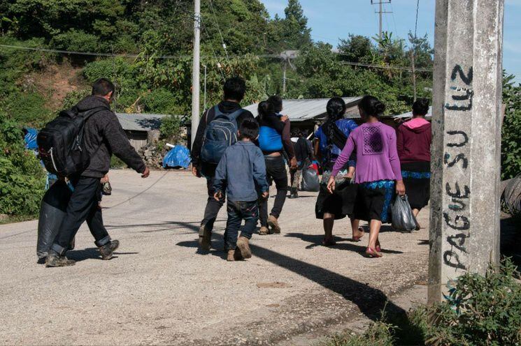Reportan más de 20 asesinados y cientos de desplazados en la sierra de Chiapas
