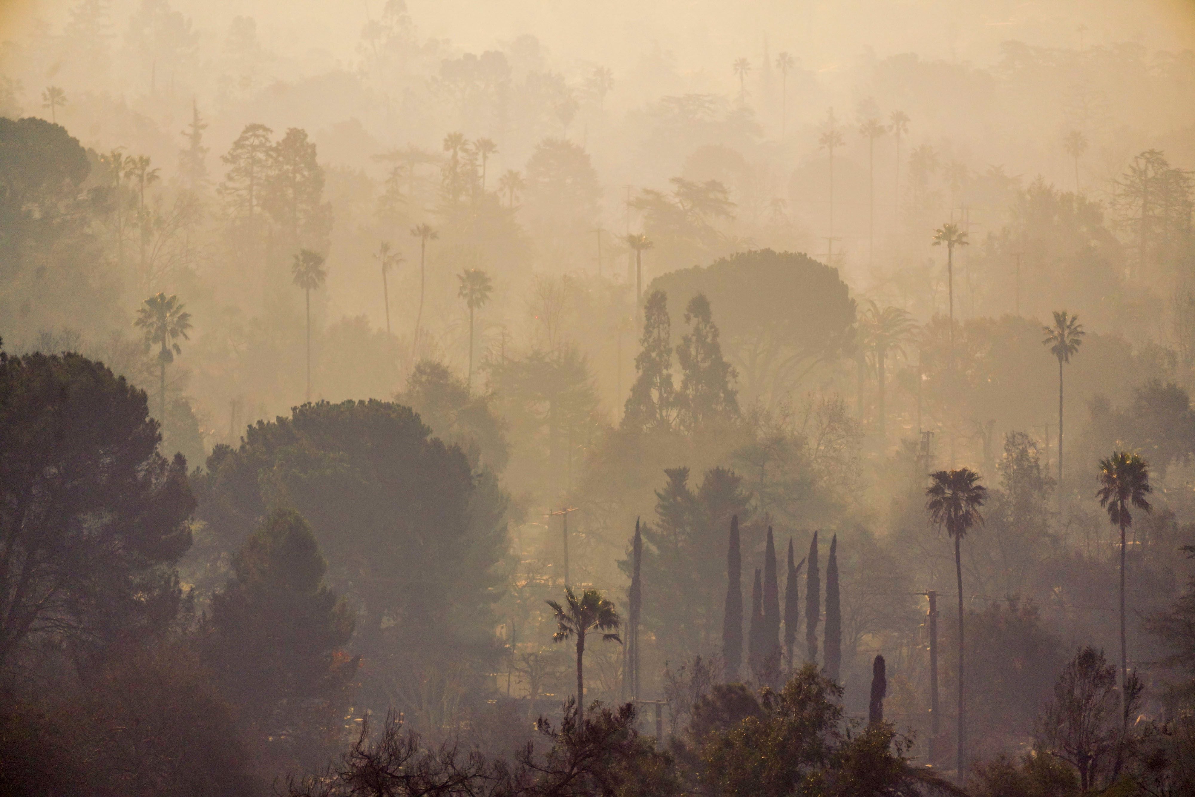 Aproximadamente 16 mil personas han sido desalojadas tras los incendios en Los Ángeles.