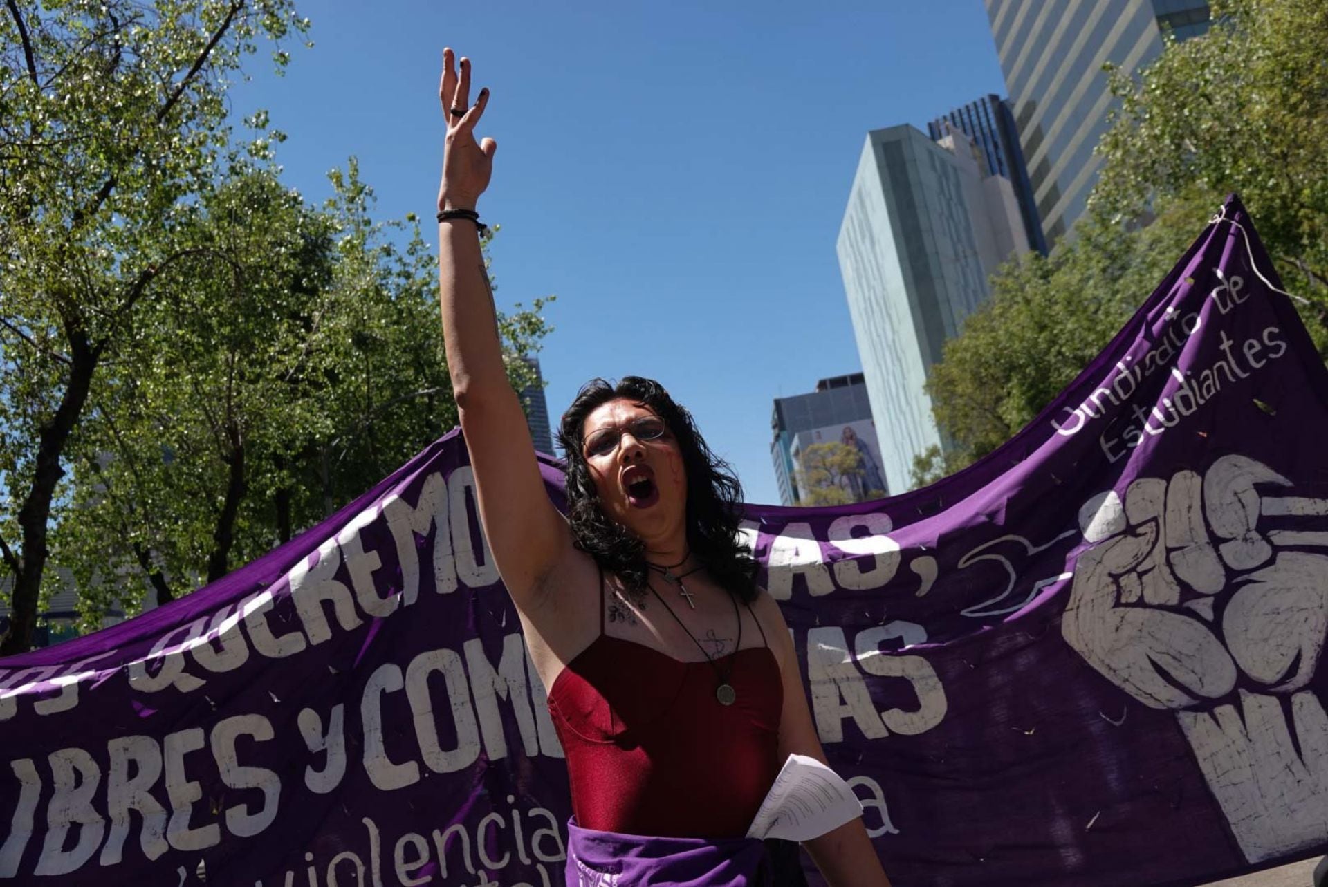 La lucha sigue: causas, tonos morados y 200 mil mujeres exigimos justicia