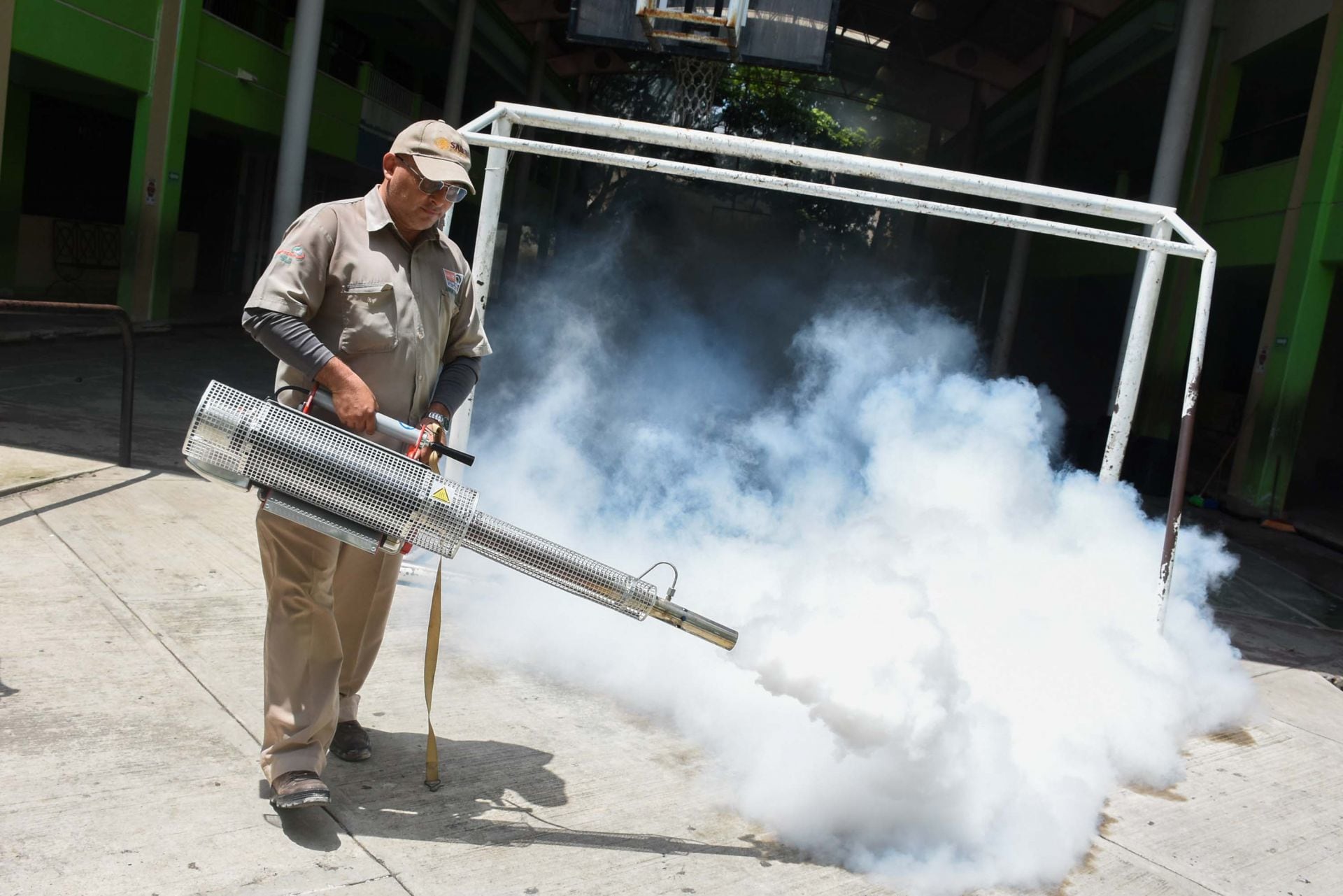 Morelos reporta 13 muertes por dengue: ¿Cuáles son las precauciones para evitar contagios? 