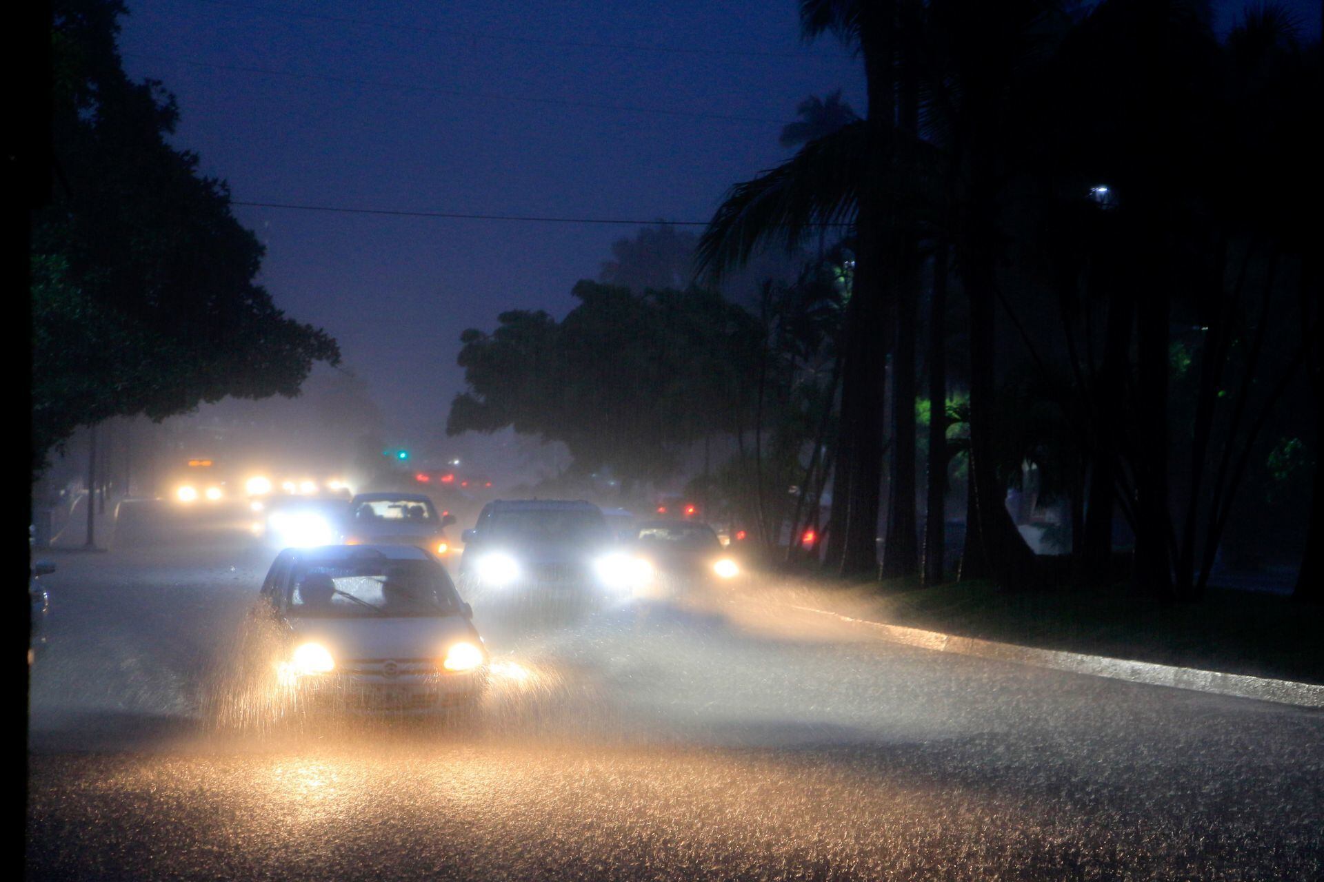 Lluvias dejan un muerto, árboles caídos y 3 autos arrastrados en Acapulco