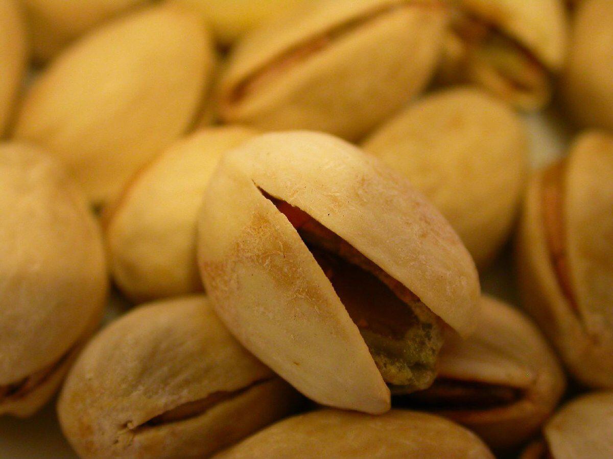 Los pistaches no se deberían consumir en grandes cantidades. (Foto: Wikimedia Commons)