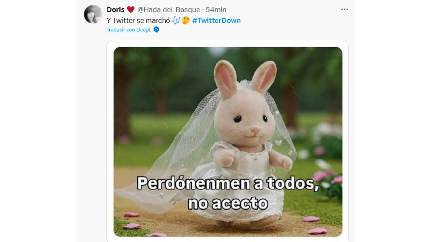 Memes de la caída de X (Twitter). (Foto: Especial).