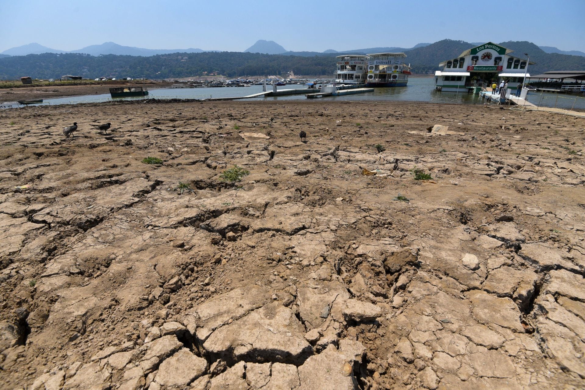 Cutzamala ‘no tiene llenadera’: Nivel de agua incrementó 1% pese a lluvias 