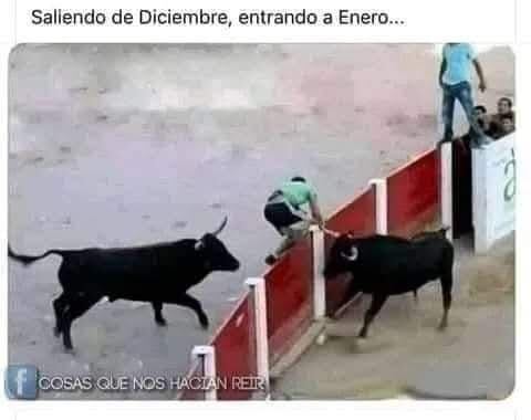 Memes e imágenes divertidas de Año Nuevo 2025. (Foto: Redes sociales)