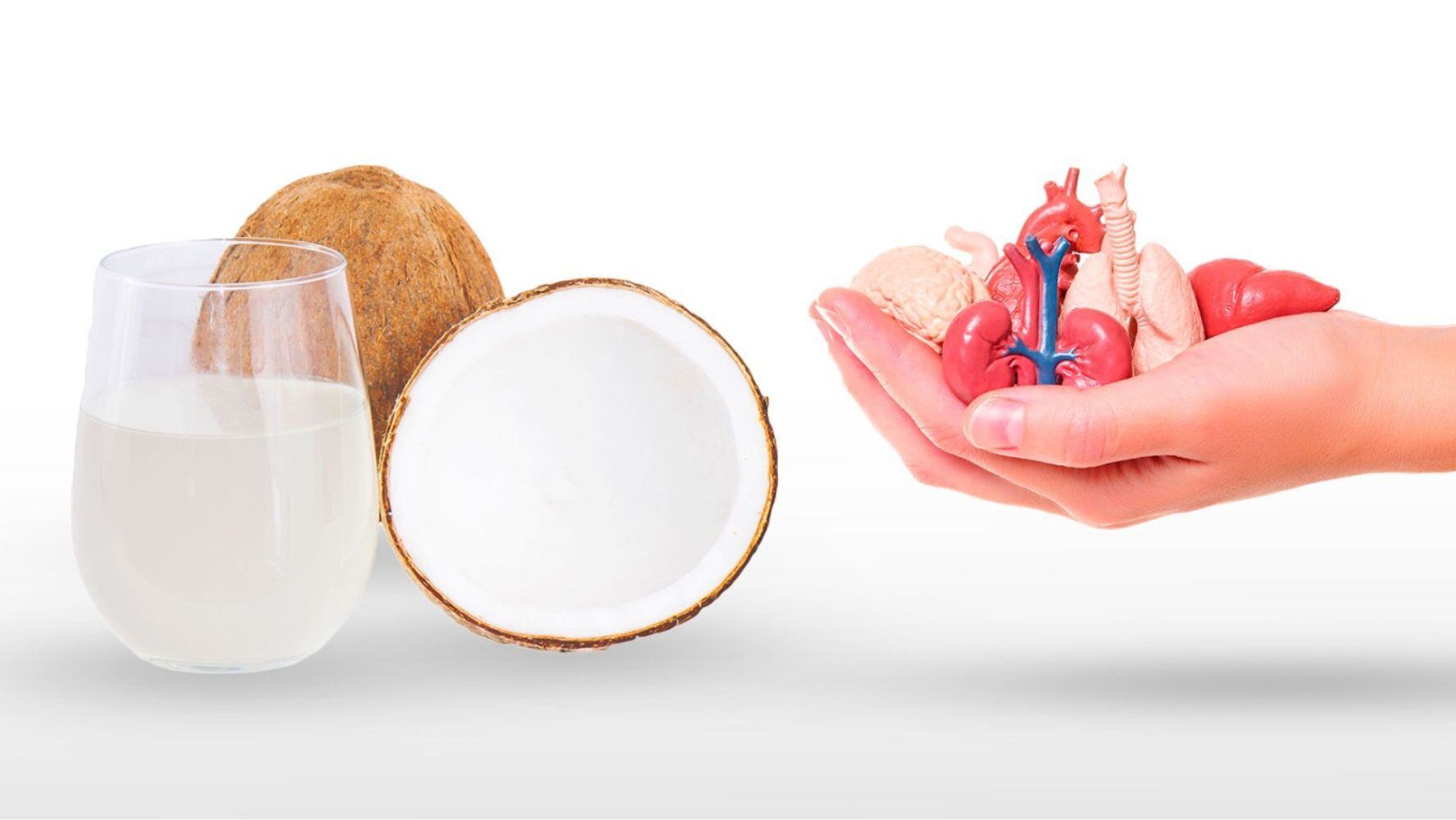 Debido a sus valores nutricionales, el coco tiene efectos en diferentes órganos del cuerpo. (Foto: Shutterstock)