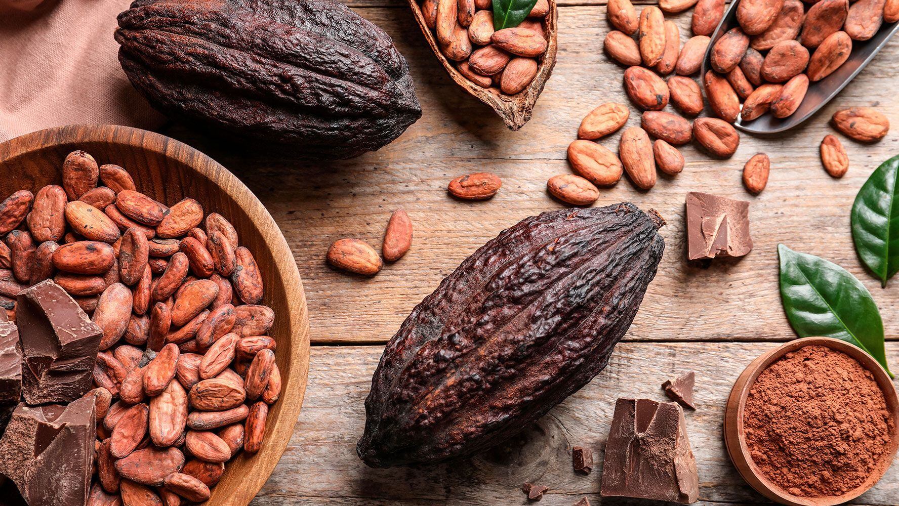El comercio de futuros de cacao ha alcanzado niveles históricamente bajos.  (Foto: Shutterstock)