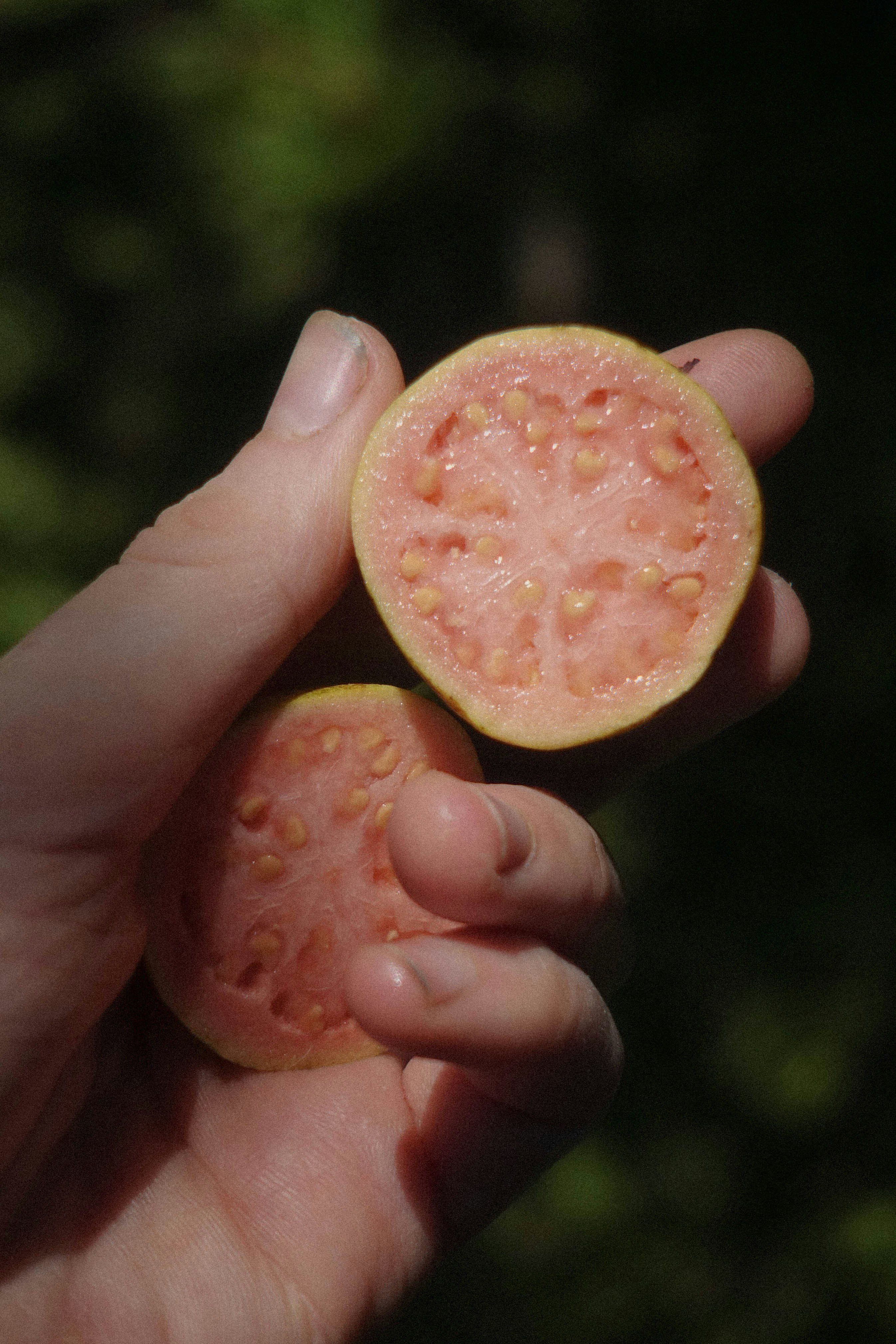 La guayaba es rica en vitamina C. (Foto: Unsplash)