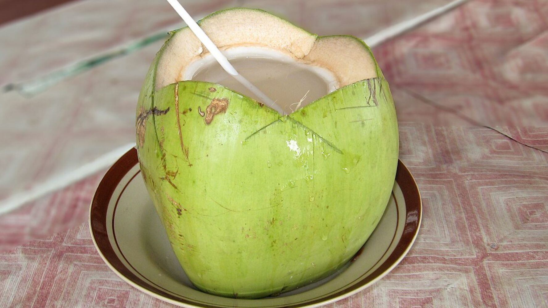 El coco es una de las frutas tropicales más populares. (Foto: Wikimedia Commons)