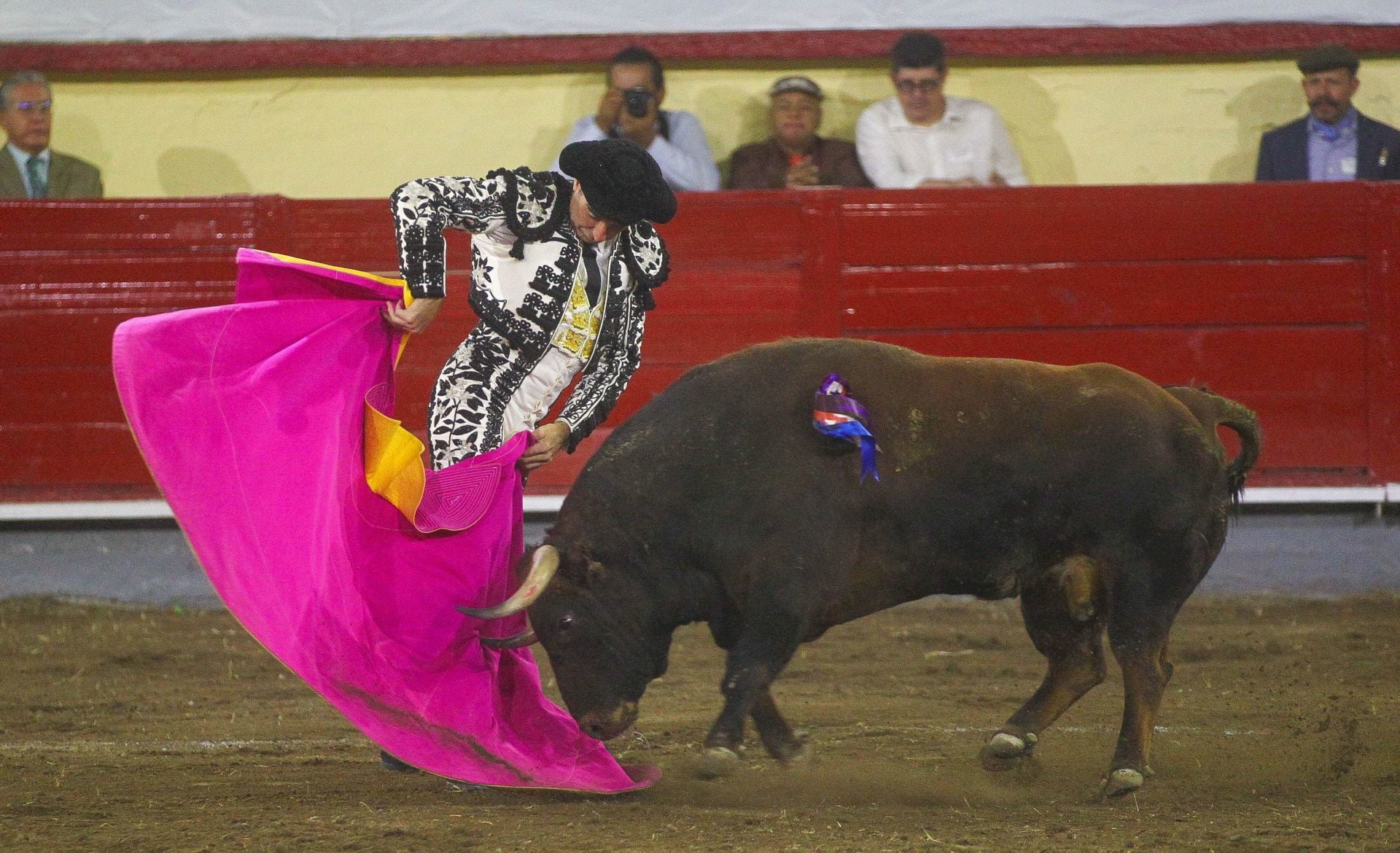 Brugada anuncia cambios a corridas de toros: ¿Cómo será el espectáculo taurino en CDMX?