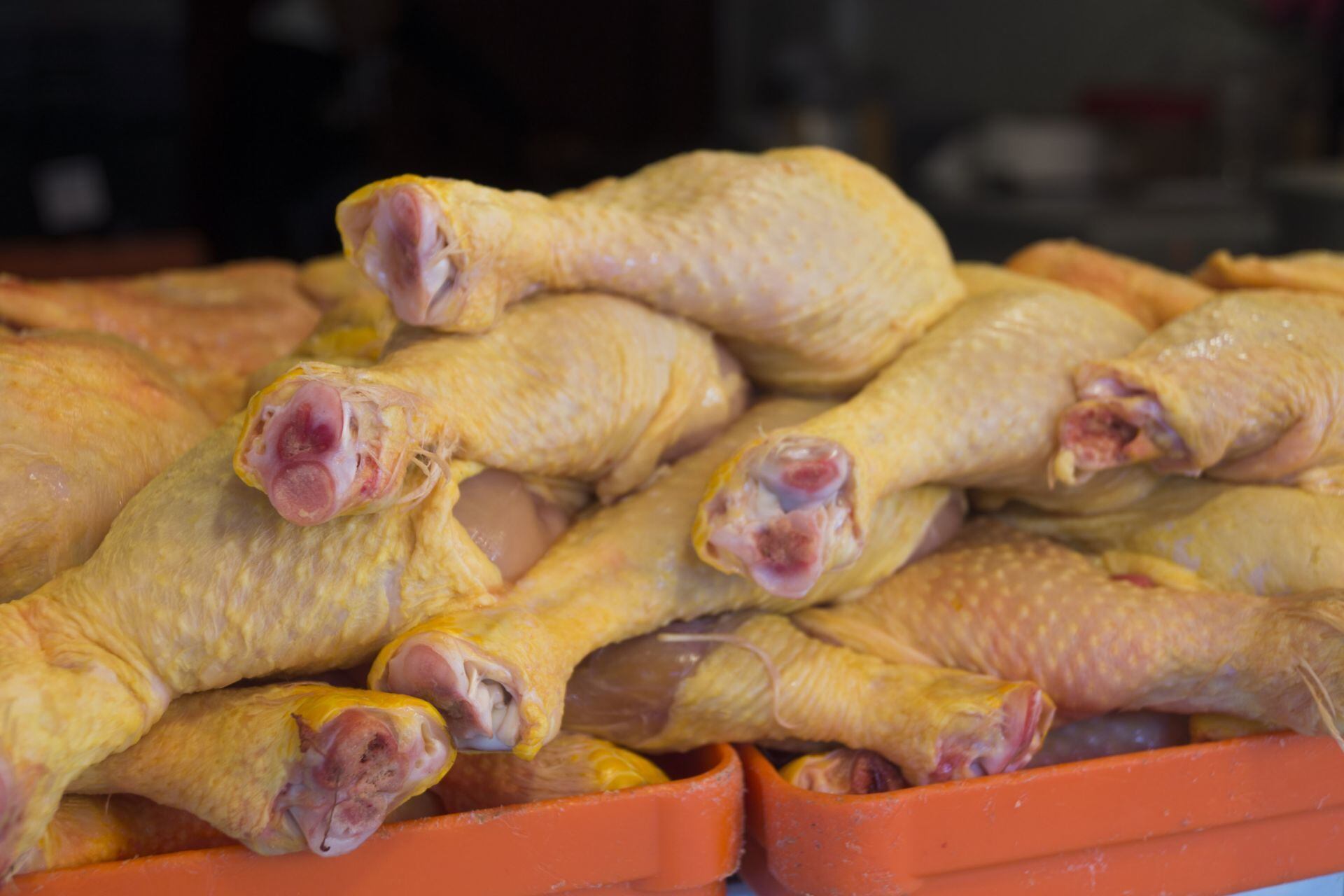 60 mil pollos en riesgo para México y EU: Reportan casos de influenza aviar en granja de NL