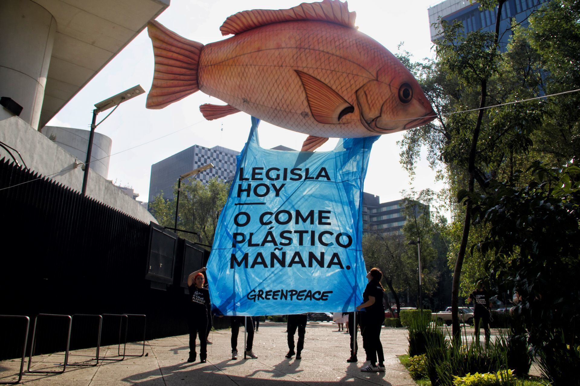 (ARCHIVO, 2019) La organización Greenpeace hizo un 