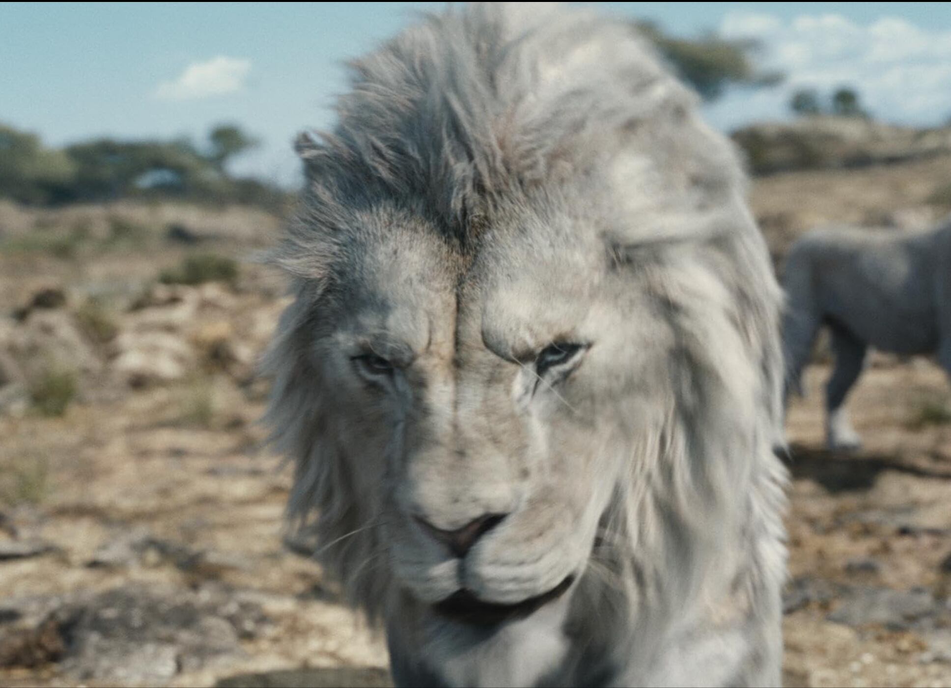 La historia de Mufasa llega a la pantalla. grande con nuevos personajes. (Foto: IMDB)