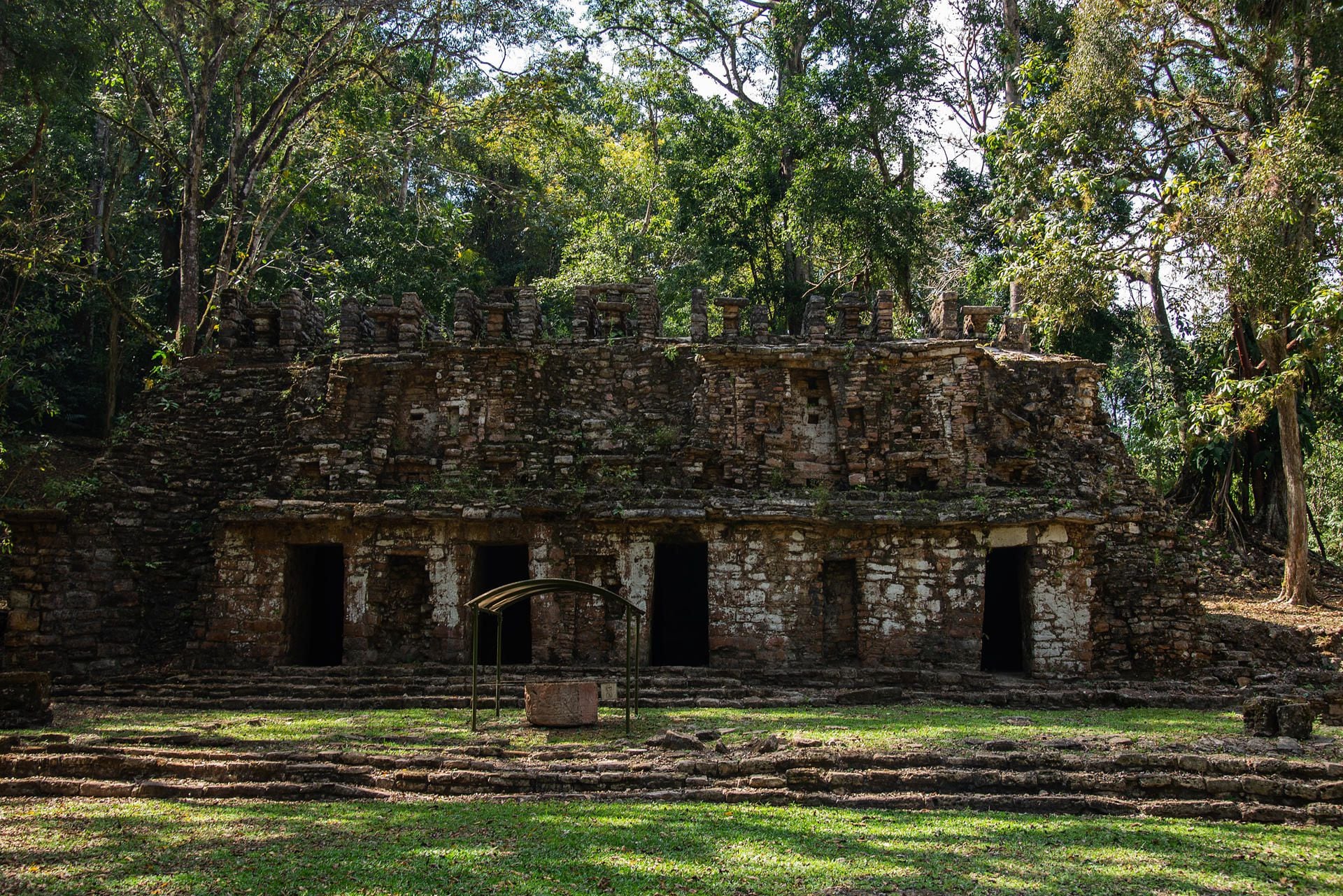 Así es Yaxchilán, zona arqueológica que reabre tras meses cerrada por violencia en Chiapas