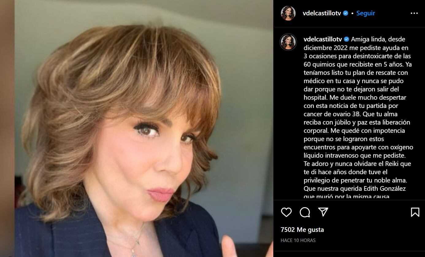 Captura de pantalla de la publicación de Verónica del Castillo en Instagram.