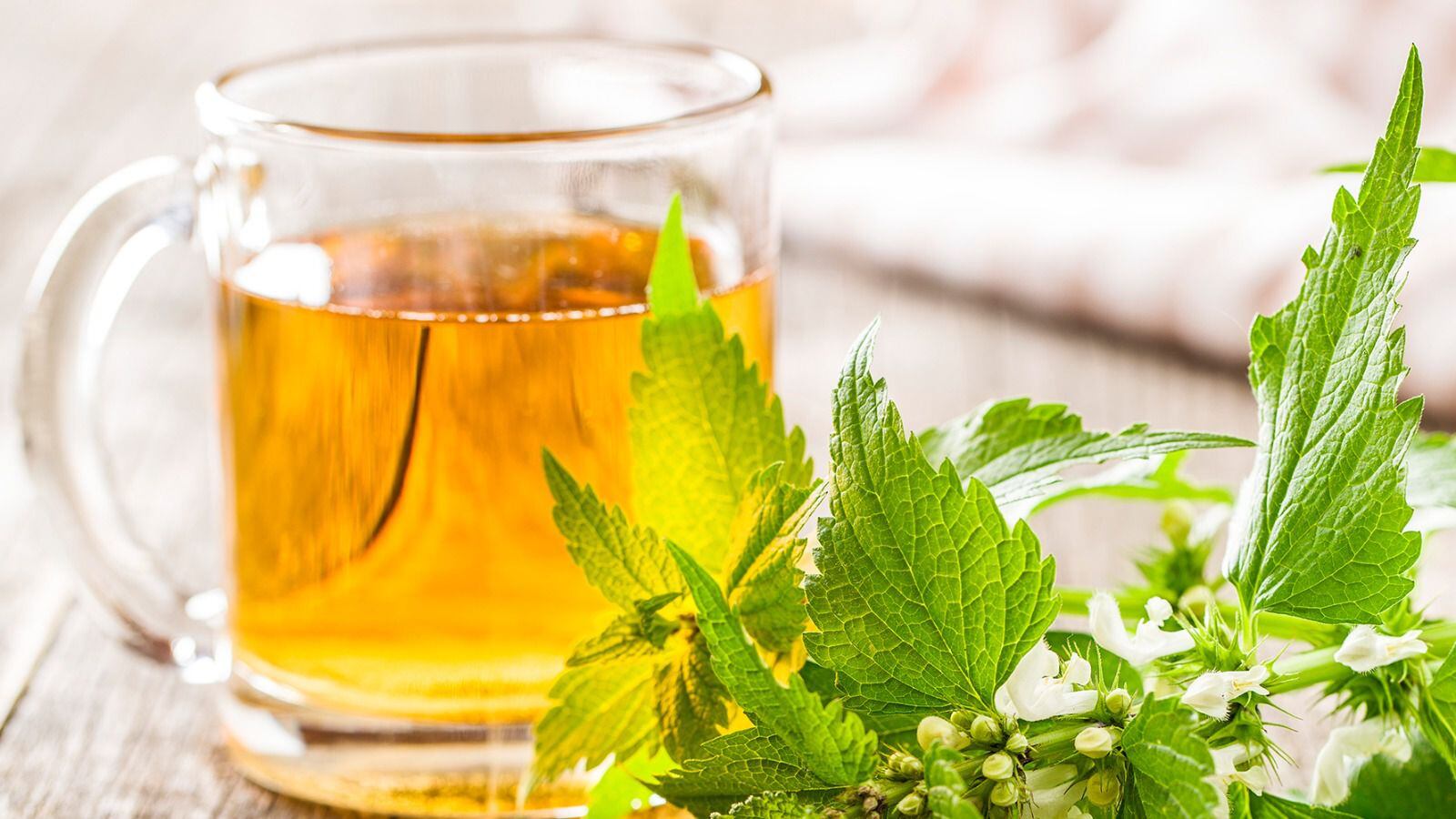 El té de ortiga verde ayuda a mantener sanos los riñones. (Foto: Shutterstock).