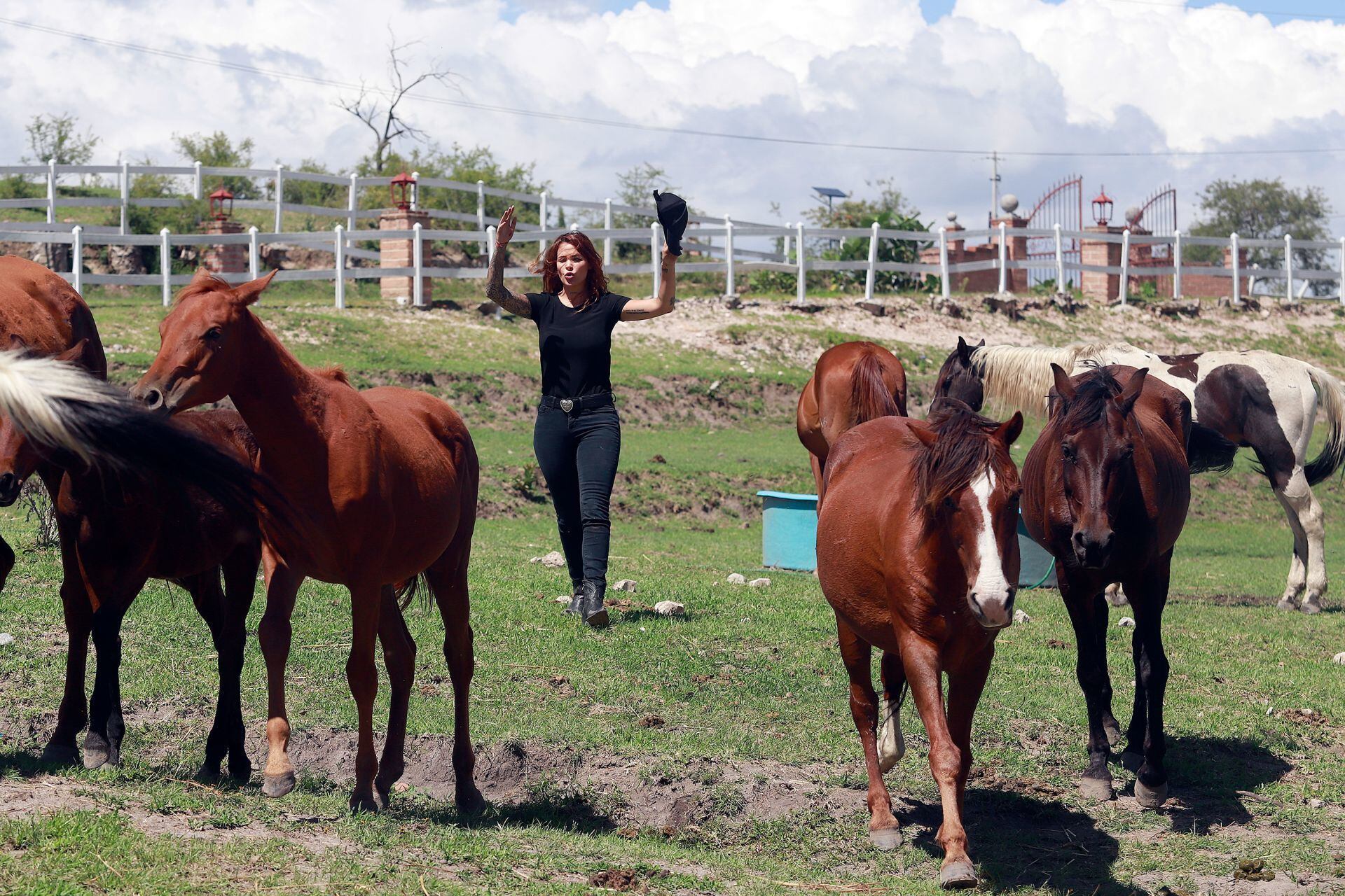 Muerte de Elena Larrea: ¿Qué pasará con Cuacolandia y los caballos? Esto dice el Gobierno de Puebla